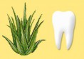 Aloe Vera Zubná pasta 